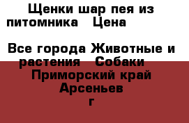 Щенки шар-пея из питомника › Цена ­ 15 000 - Все города Животные и растения » Собаки   . Приморский край,Арсеньев г.